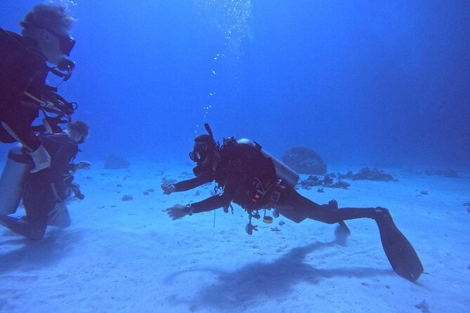 Guided Diving Experience for Padi OW in Red Sea and Sinai - Booking and Cancellation