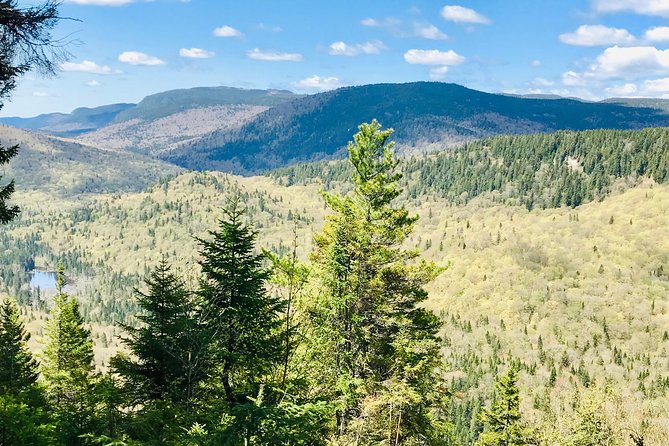 Guided Hike in Jacques-Cartier National Park - Tips for a Successful Hike