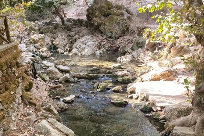 Guided Hike to the Seven Springs From Archangelos - Highlights of the Hike