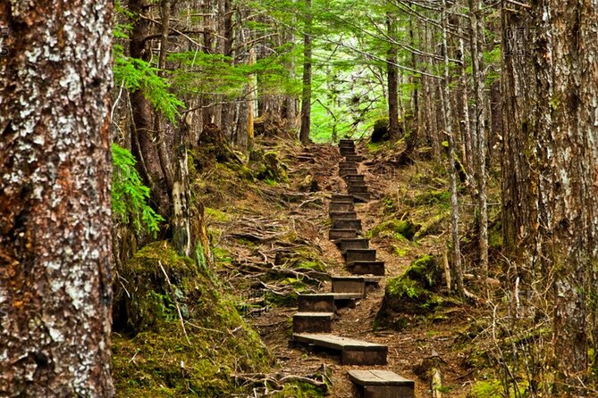 Guided Hike | TONGASS NATIONAL FOREST - Guides and Their Expertise