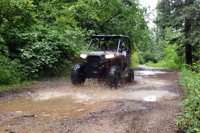 Guided Off-Road Vehicle Tours in North Idaho Forests - Meeting Point and Logistics
