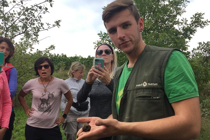 Guided Truffle Hunt Istria - Experienced Local Guide