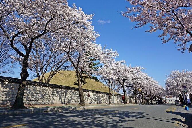 Gyeongju Best Spots Private Tour With Tourguide - Additional Information