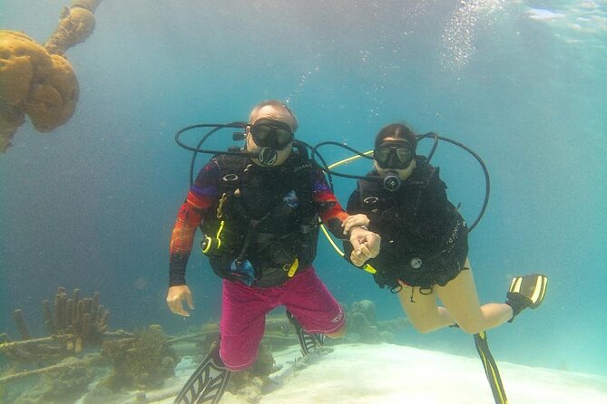 Half Day Diving Adventure With Transportation Included - Contact Information