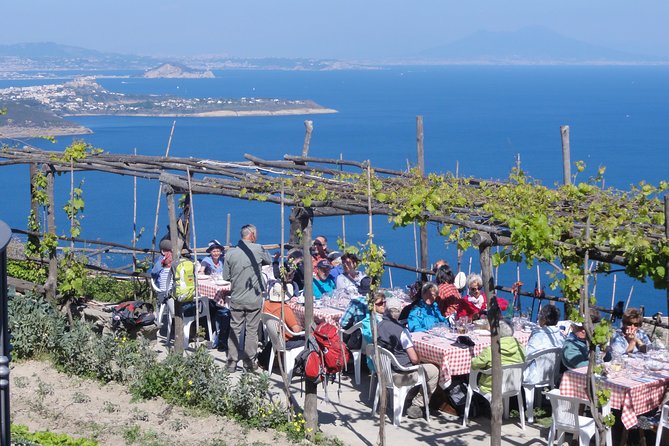 Half-Day East Coast Hike in Ischia Island With Pick-Up - Viator Company Background