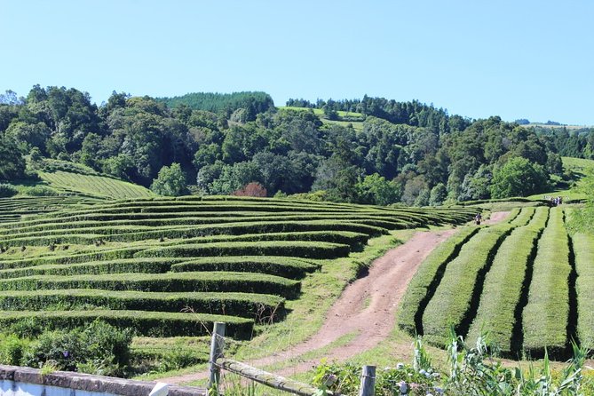 Half Day Furnas And Hot Springs - Exploring Furnas Crater