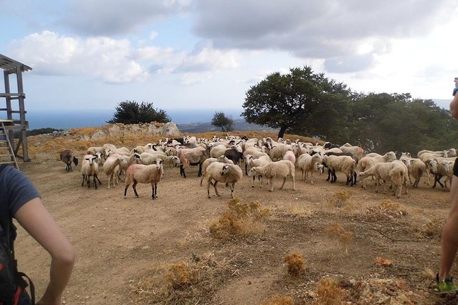 Half-Day Georgioupolis Off-Road Adventure With Meal - Accessibility and Restrictions