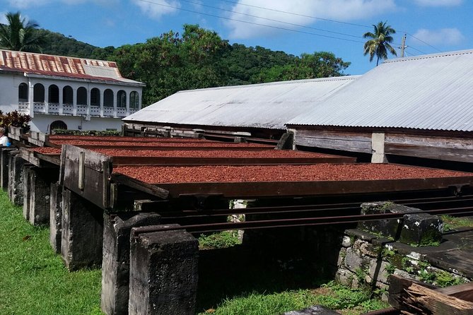 Half-Day Grenada Island Small-Group Sightseeing Tour - Chocolate Factory and Rum Distillery
