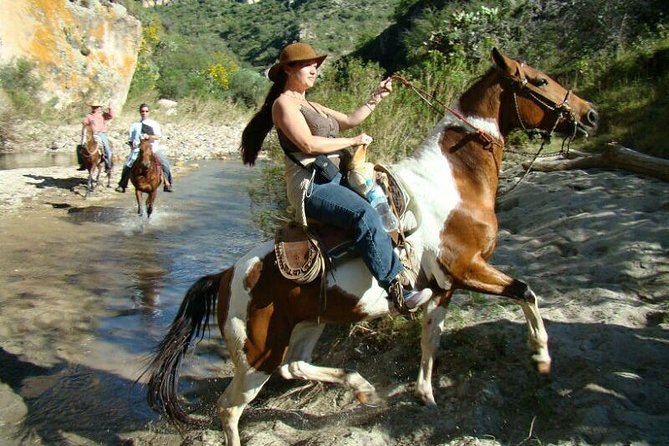 Half-Day Horseback Riding Adventure - Participant Requirements and Safety
