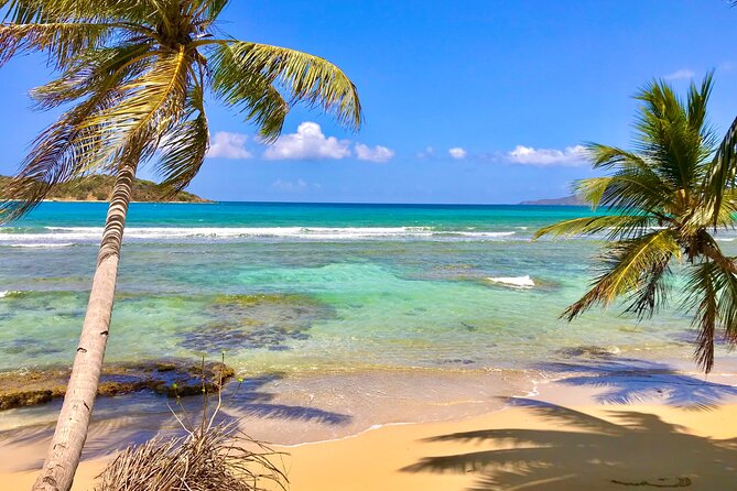 Half Day Jeep Tours and Excursions in Virgin Islands - Booking Information