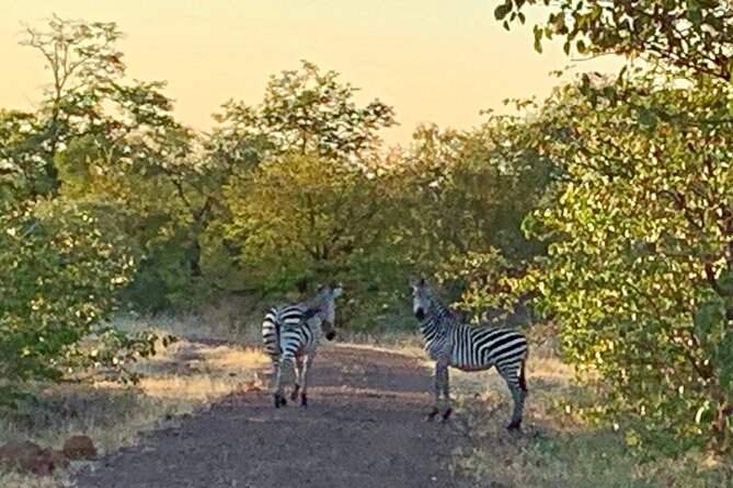 Half-Day Nature Walk in Mosi-Oa-Tunya National Park From Livingstone - Booking and Cancellation Policy