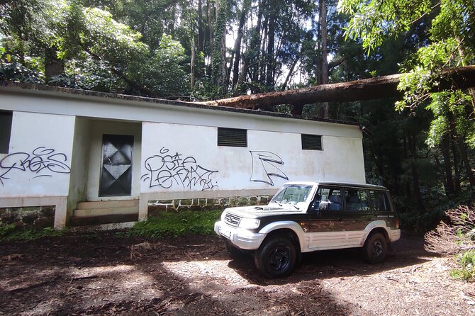 Half Day Off Road Tour in Azores - Tour Highlights