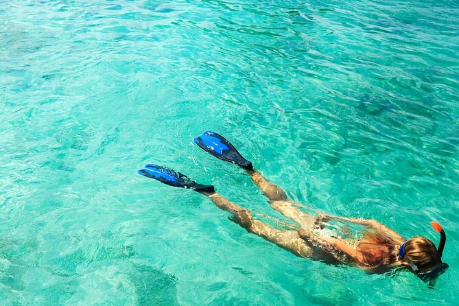 Half-Day Puerto Morelos Snorkeling Experience With Lunch - Snorkeling in Puerto Morelos