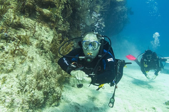 Half-Day Scuba Diving in Playa Del Carmen for Small-Group - Highlights of Positive Reviews