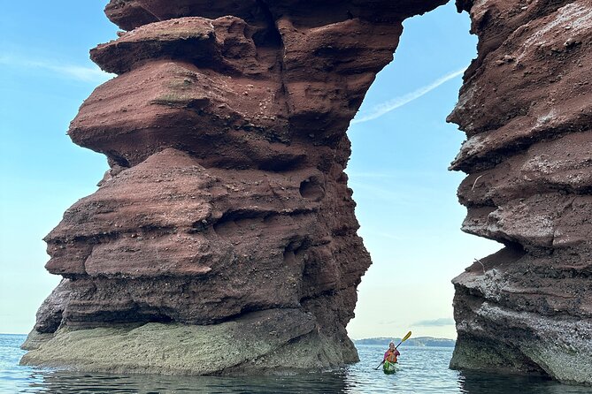Half Day Sea Kayak Guided Tour - Additional Information