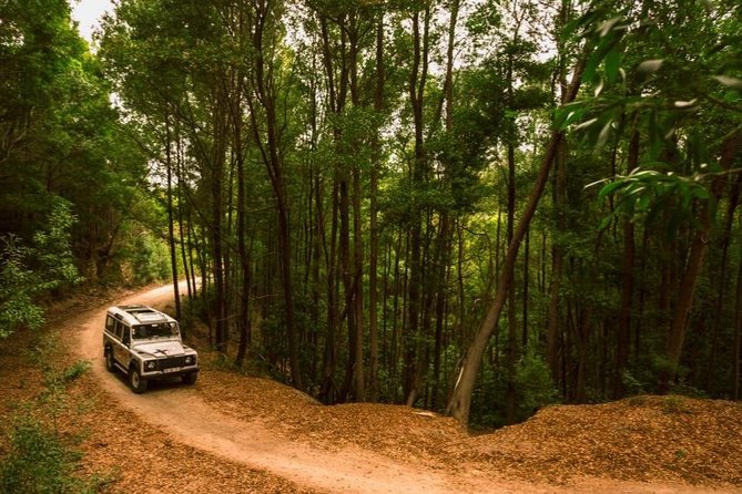 Half-day Sintra Jeep Safari - Since You Asked