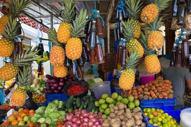 Half-Day Small-Group Cultural Tour From Punta Cana - Tour Highlights