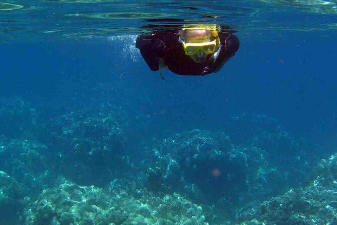 Half Day Snorkelling Experience With a Dive Boat in Kos Greece - Pricing and Booking Options
