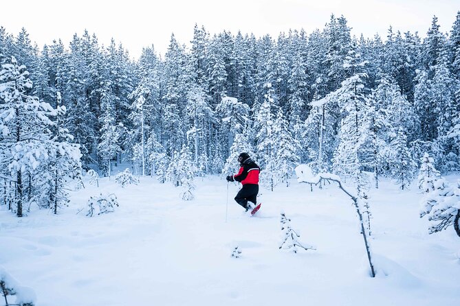 Half Day Snowshoe Hiking Adventure in Levi Lapland - Reviews