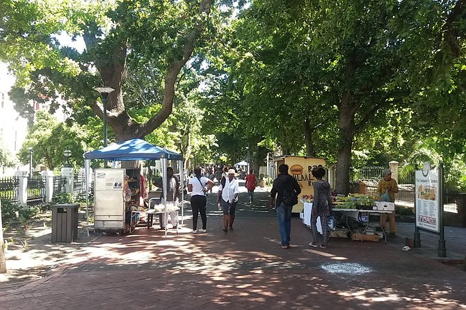 Half-Day Tour of Cape Town City - Exploring Cape Towns Highlights