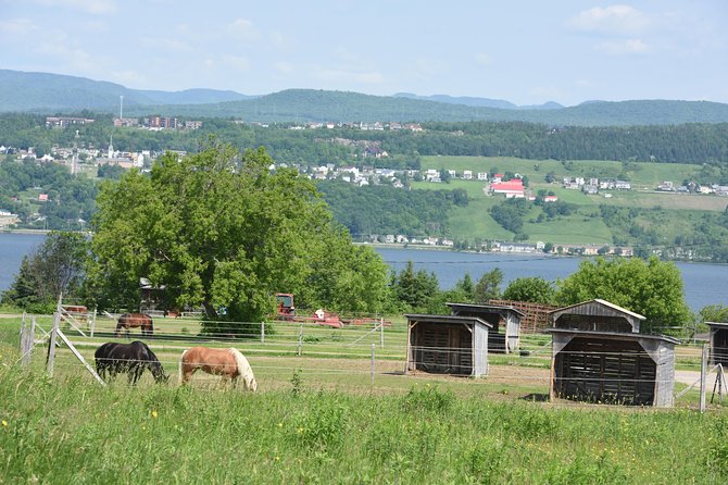Half-Day Trip to Montmorency Falls and Ste-Anne-De-Beaupré From Quebec City - Meeting and Pickup Details
