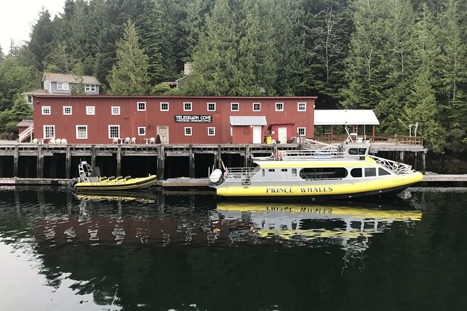 Half-Day Whale Watching Adventure From Telegraph Cove - Booking and Cancellation Policies