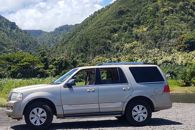 Halfway to Hana Tour of Maui Black Sand Beach Waterfalls Turtles - Constructive Feedback