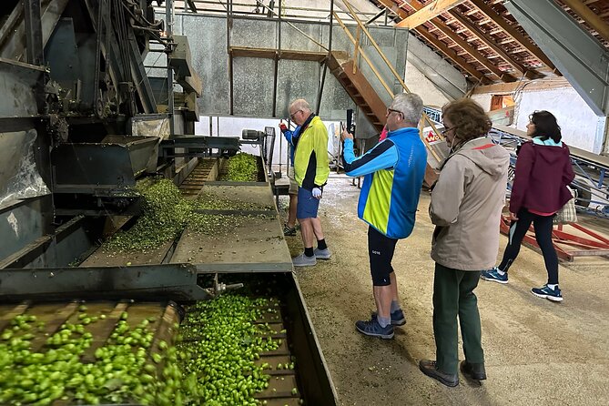 Hallertau Experience With Hop Harvest, Lunch and Hop Museum - Getting There