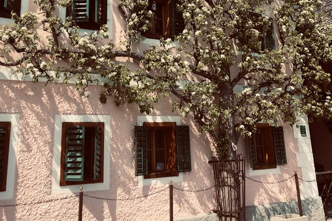 Hallstatt Self-Guided Tour Review - Navigating the Crowded Landscape