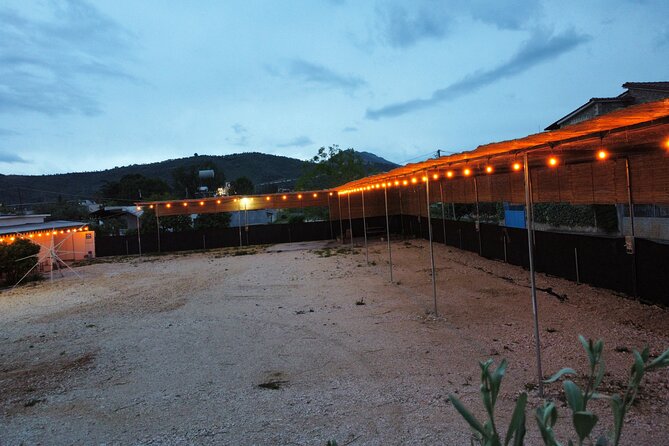 Happy Camping Berat: A Comprehensive Review - Customer Reviews and Ratings