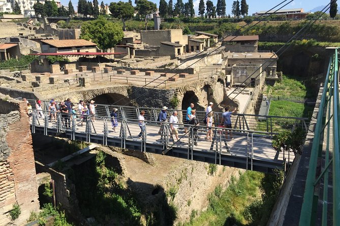 Herculaneum Private Walking Guided Tour 2 Hours - Exploring Herculaneum