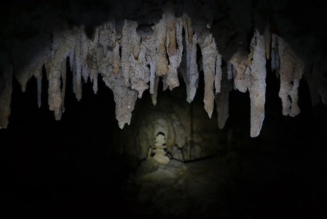 Hidden Cenote Exploration in Playa Del Carmen - Geological History of the Cenote
