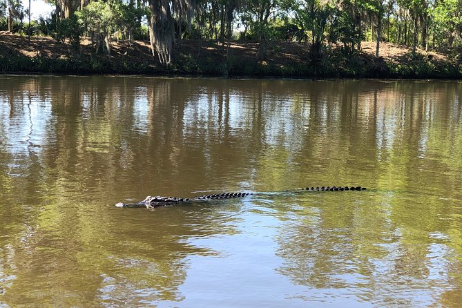 Highlights of New Orleans City and Swamp Tour Combination - Highlights of New Orleans City