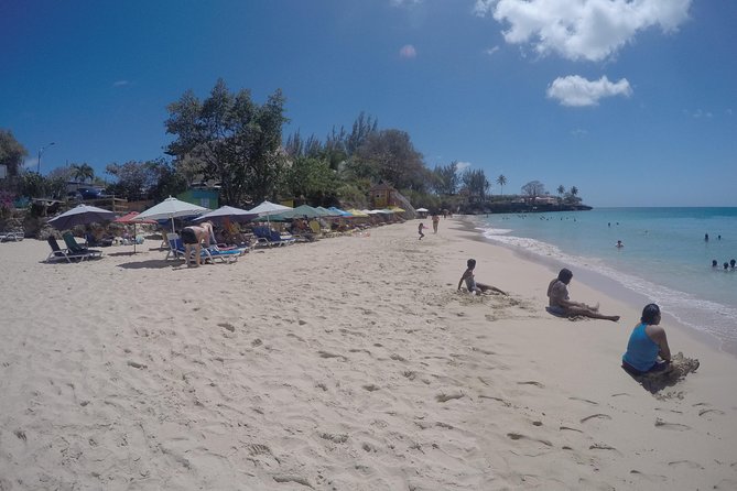 Highlights of Tobago Tour - Traveler Reviews: Positive Feedback
