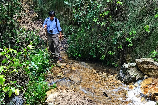 Hike Chouwen - Customer Experiences and Reviews
