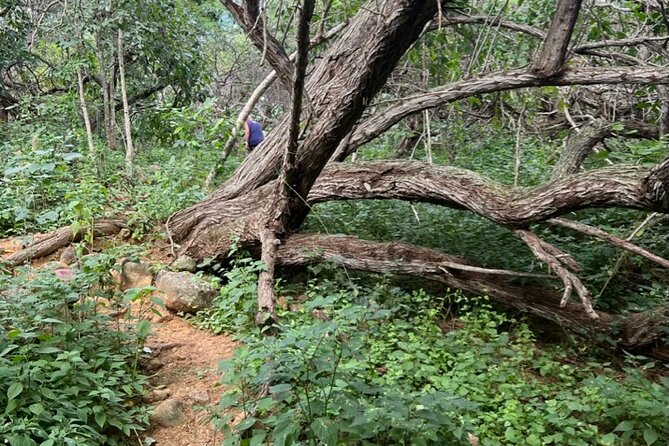 Hike Goto Flamingo Meer Trail & Explore North Bonaire - Customer Satisfaction