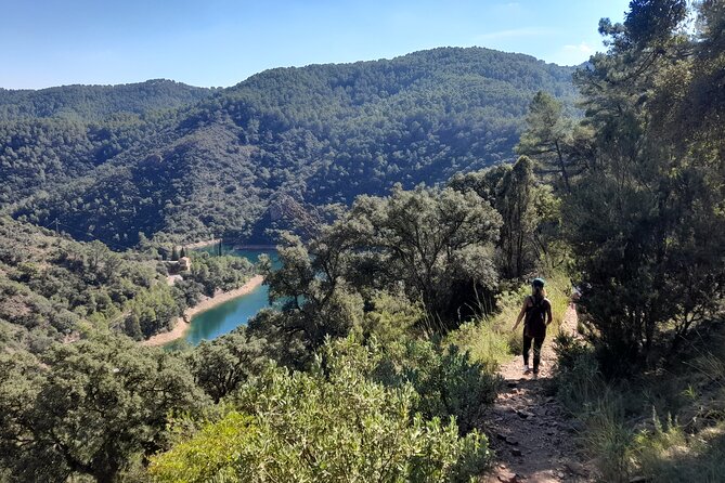 Hike to Spectacular Lookout of Órganos De Benitandús - Booking Information