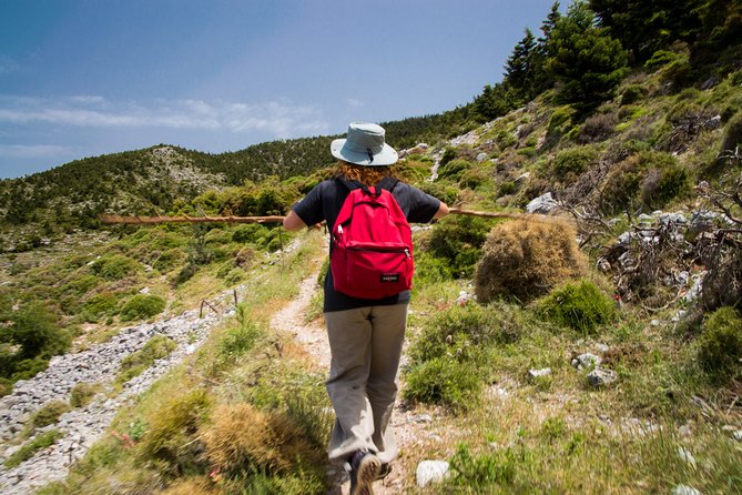 Hiking Above Kalamata - Reviews