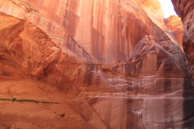 Hiking in Kanab: Walk and Photograph the Incredible Wire Pass Slot Canyon! - Safety Considerations and Requirements