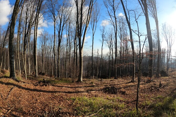 Hiking Medvednica & Medvedgrad Castle - Guest Reviews and Feedback