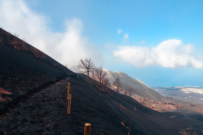 Hiking Route Visit to the New Volcano of La Palma - Reviews and Ratings