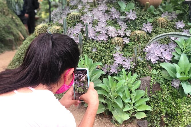 Hiking to Vallarta Botanical Garden. - Costs and Cancellation Policy