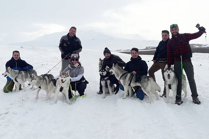 Hiking With Husky in Akureyri - Pickup Service Availability