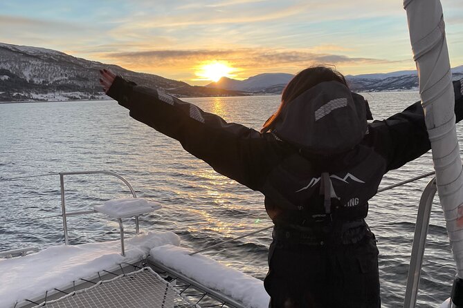 History Fjordcruise Around The Isle Of Tromso - Luxury Catamaran - Guest Reviews and Experiences