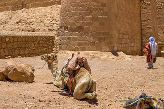 Holy Mount Sinai Climb & St Catherine Monastery - Traveler Feedback and Experiences