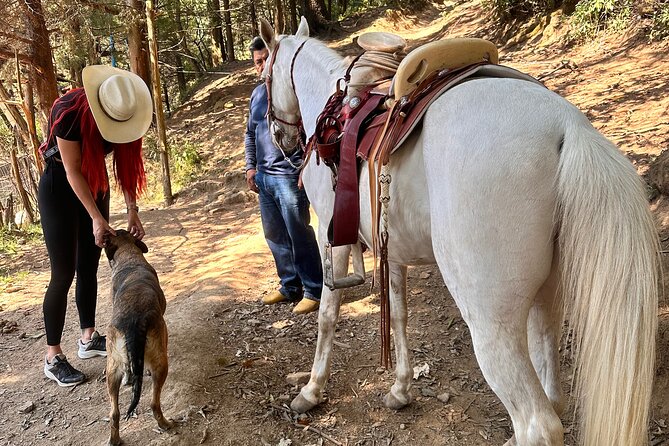 Horse Experience With My Family - About the Family-Run Operation