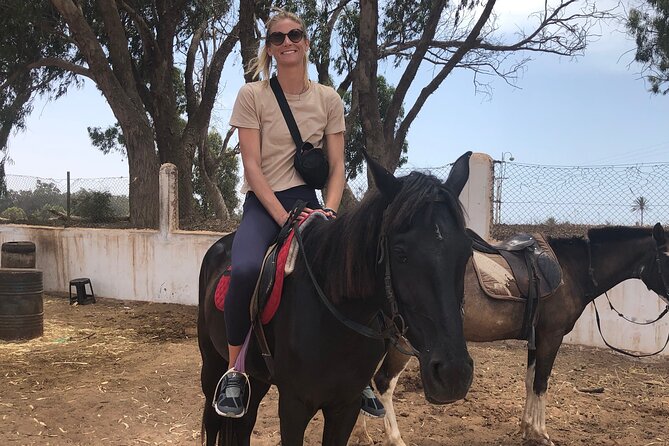 Horse Riding Agadir - Positive Guest Feedback
