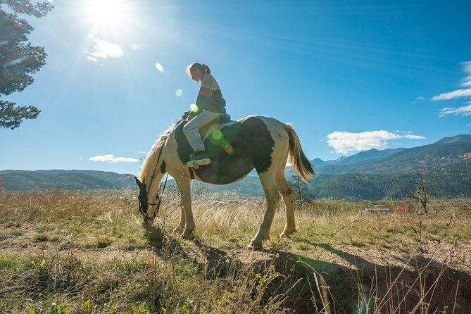 Horse Riding Experience From Bansko - Booking and Cancellation Policy