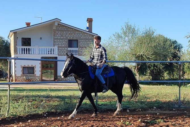 Horse Riding in the Gargano National Park - Cancellation Policy and Flexibility