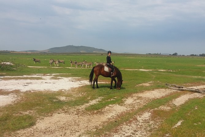 Horse Riding Wildlife Safari - Frequently Asked Questions